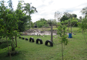 Ecopark Tire Jumping Station